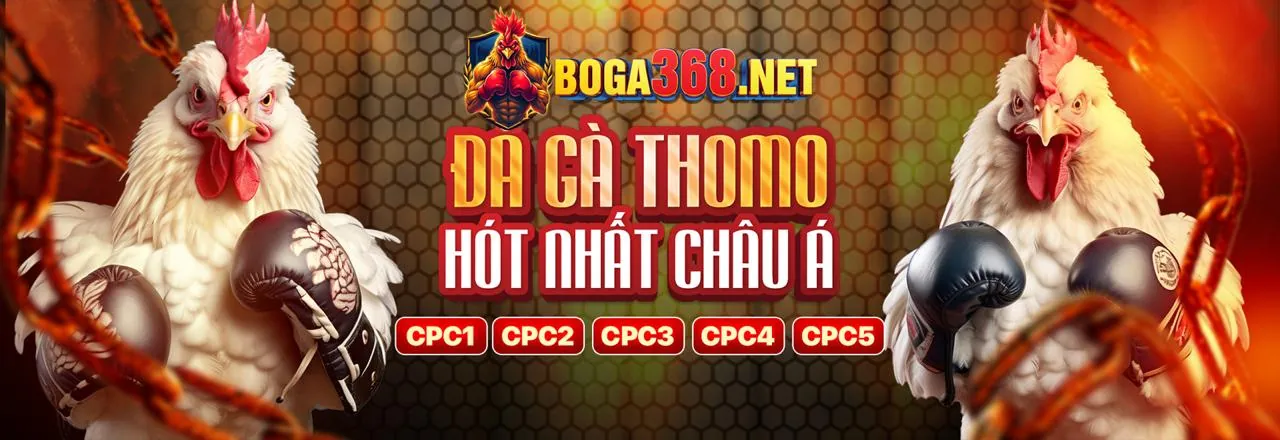 Hình ảnh tổng quan blog M66 trang chủ